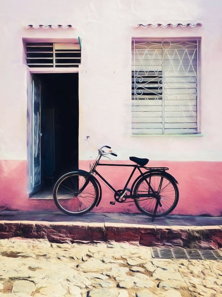 Enchanted Bicycle