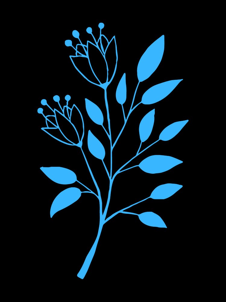 Branch Of Blue Flowers