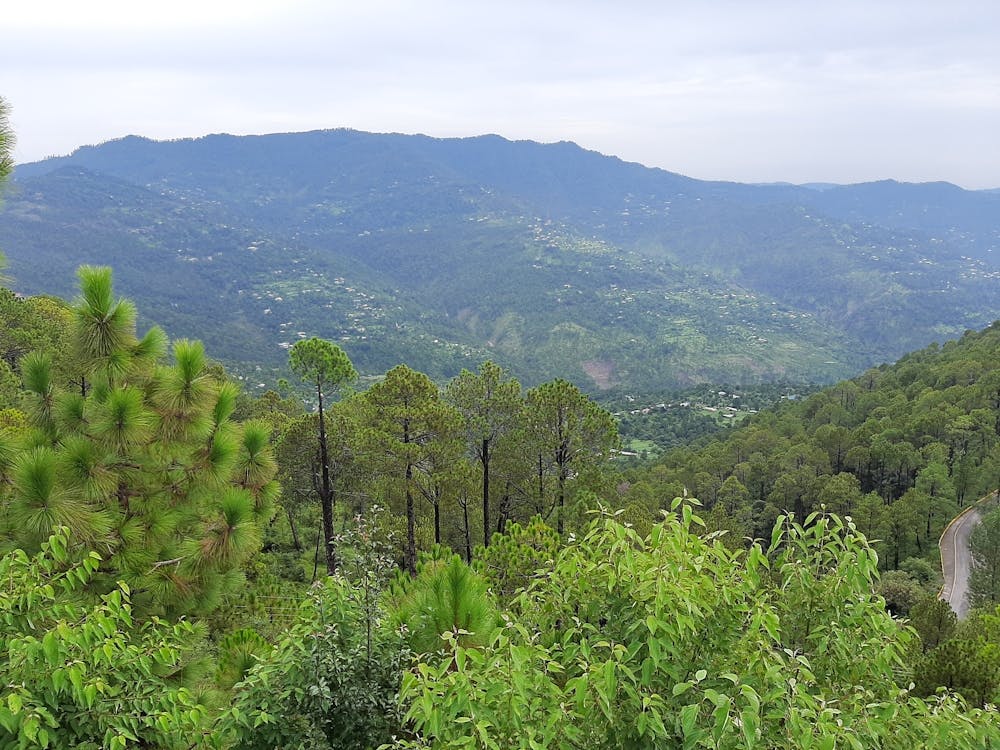 Shimla Valley