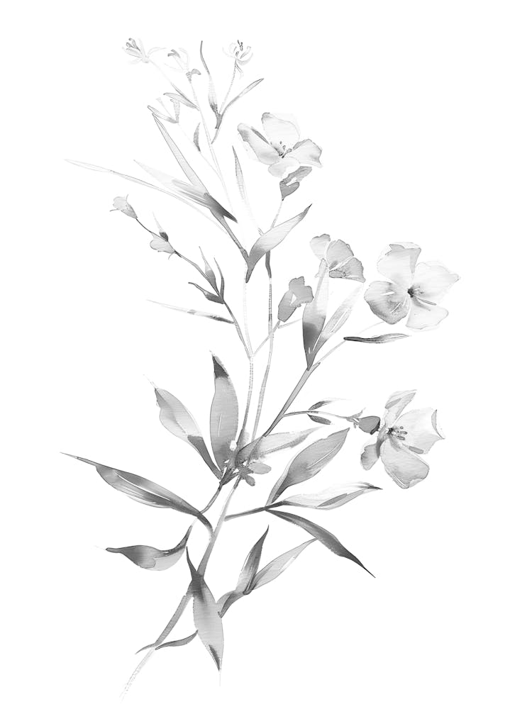 Black And White Flower 24