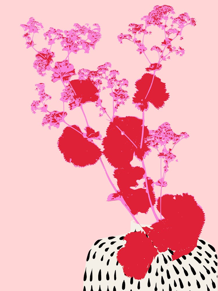 Plant based happyness ladys mantle still life