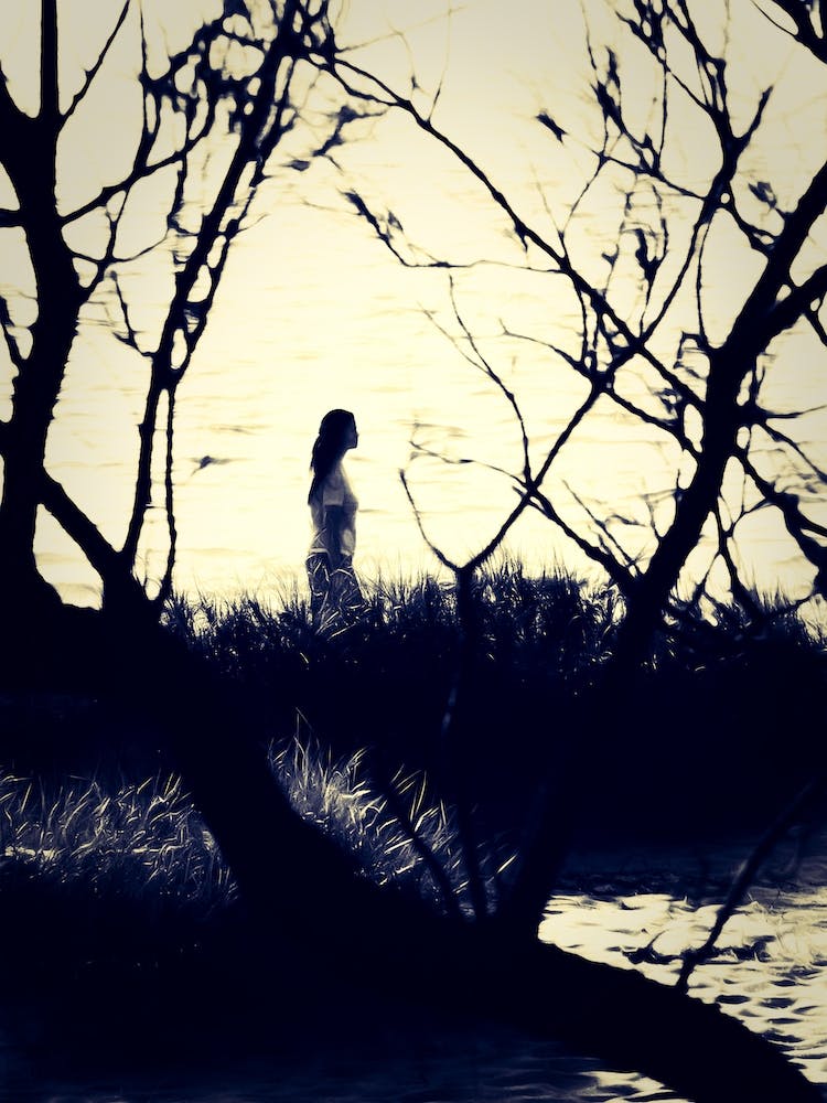 Lakeside Walk