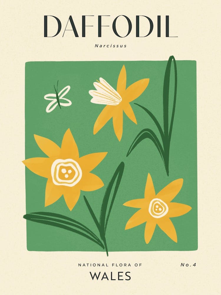 Vintage Green And Yellow Daffodil Flower Of Wales