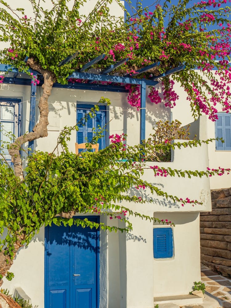 Blue And White House In Paros