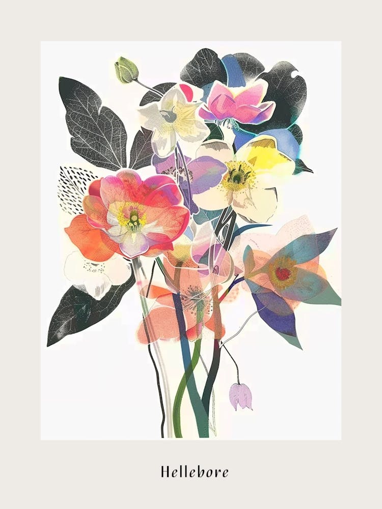 Hellebore 1 Collage Flower Bouquet Poster