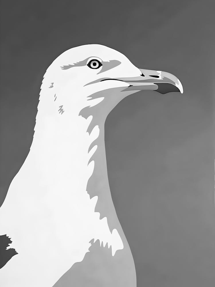 Seagull