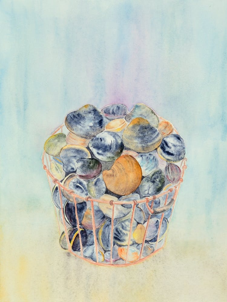 Seashells In A Basket