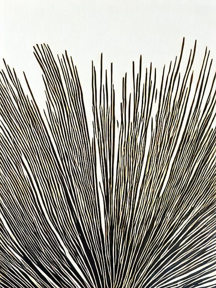 Acropora Suharsonoi Linocut