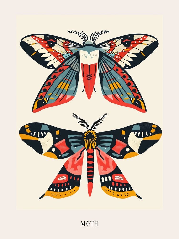 Colourful Insect Illustration Moth 34 Poster