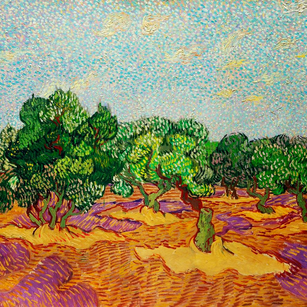 Olive Trees (1889) By Vincent Van Gogh
