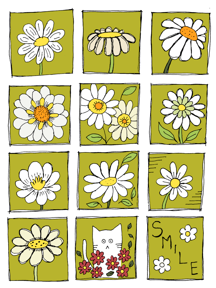 Daisies