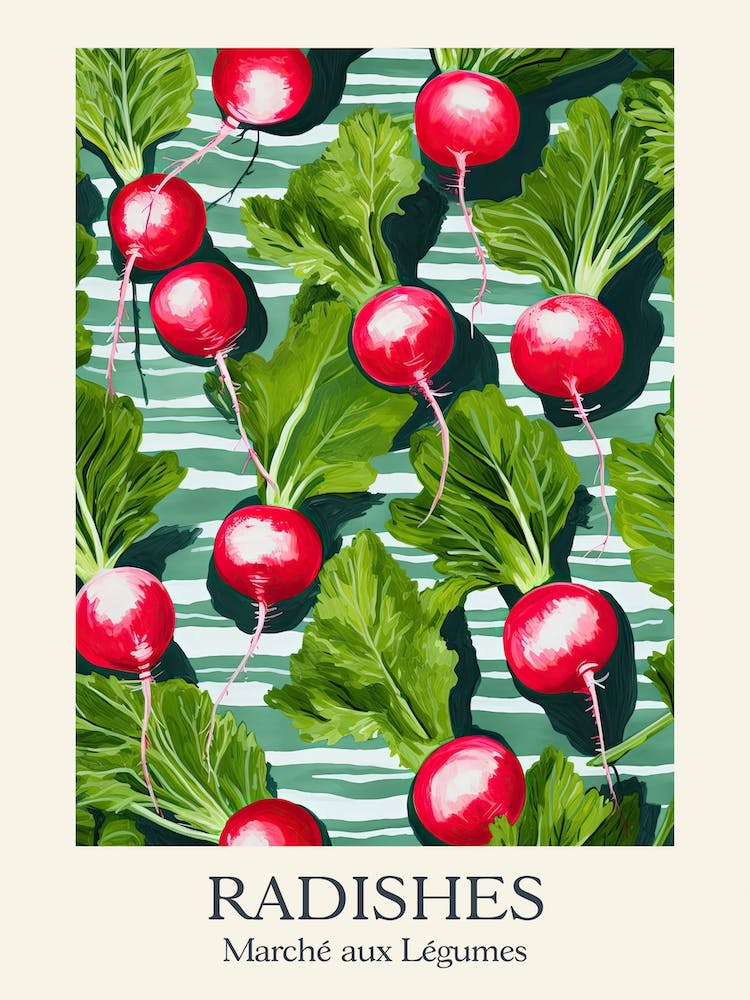 Marche Aux Legumes Radishes Summer Illustration 2