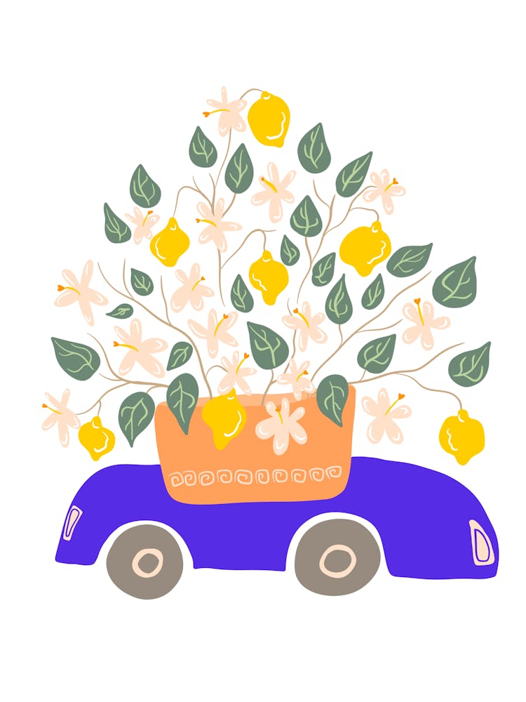 Greek Blue Car With Lemon Tree Flower