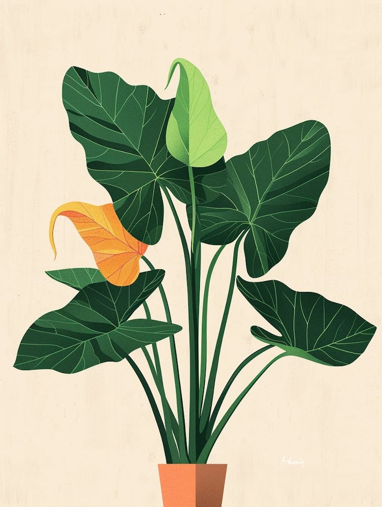 Elefantenohr-Pflanze Minimalistische Illustration 8