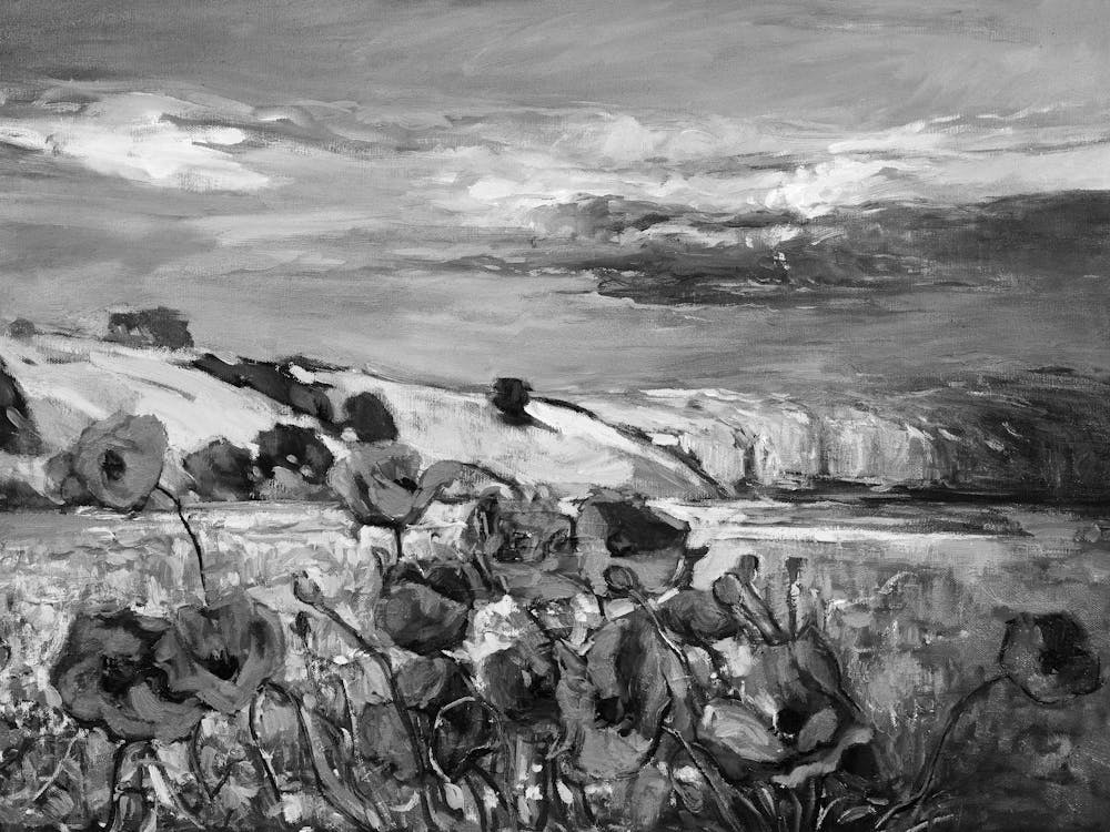 Poppies In The Field