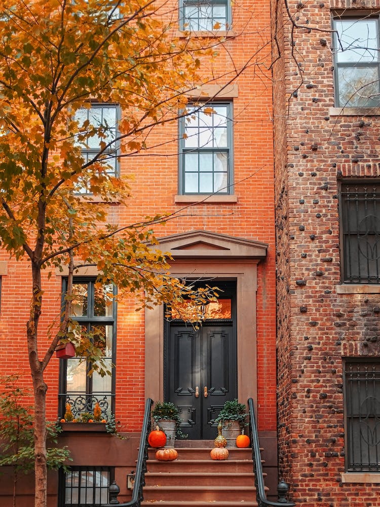 Pumpkin Season, Autumn In New York