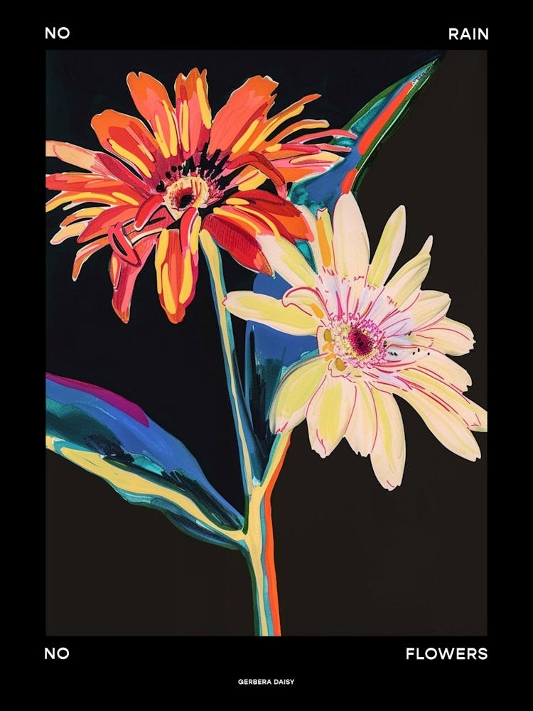 No Rain No Flowers Poster Gerbera Daisy 1