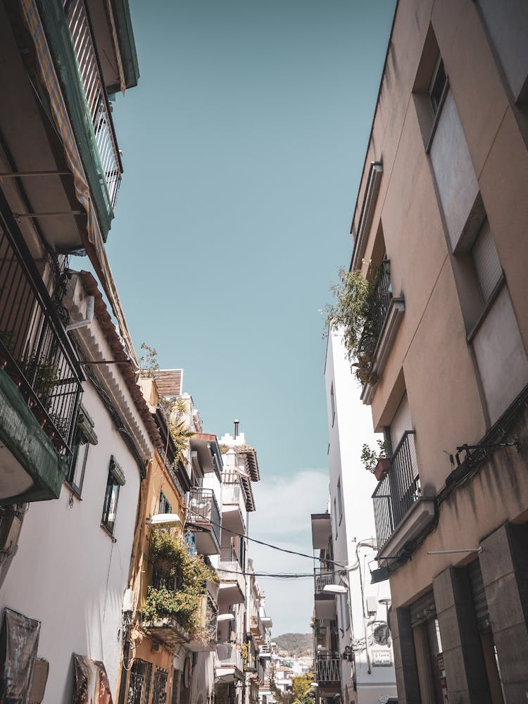 Narrow Street In Spain