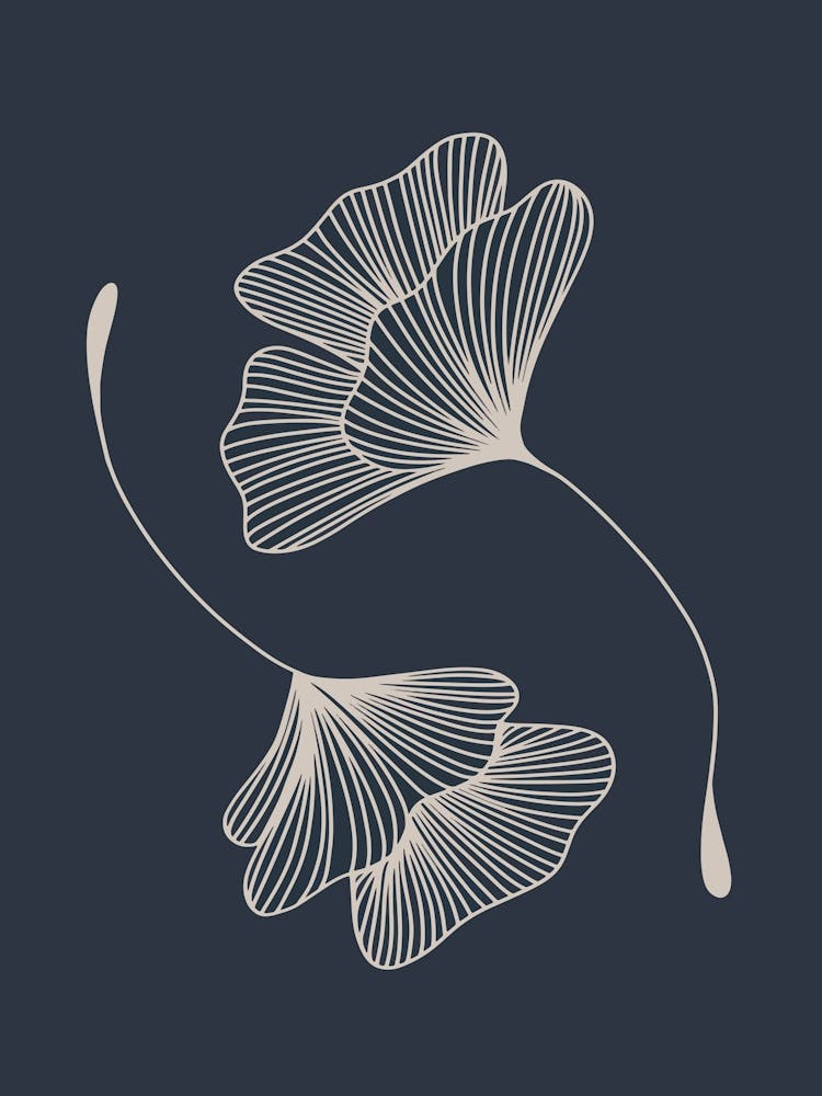 Line Art Ginkgo Leaves