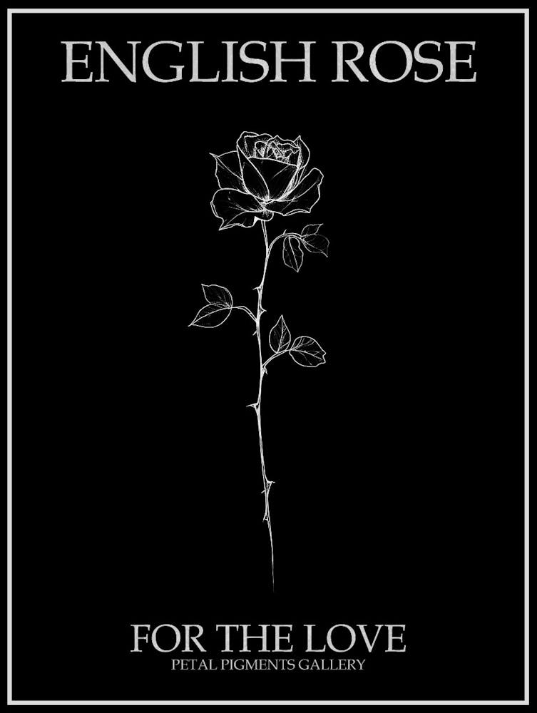 English Rose Black And White Line Drawing 27 Poster Inverted