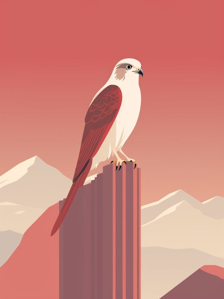 Minimalist Falcon 5 Illustration