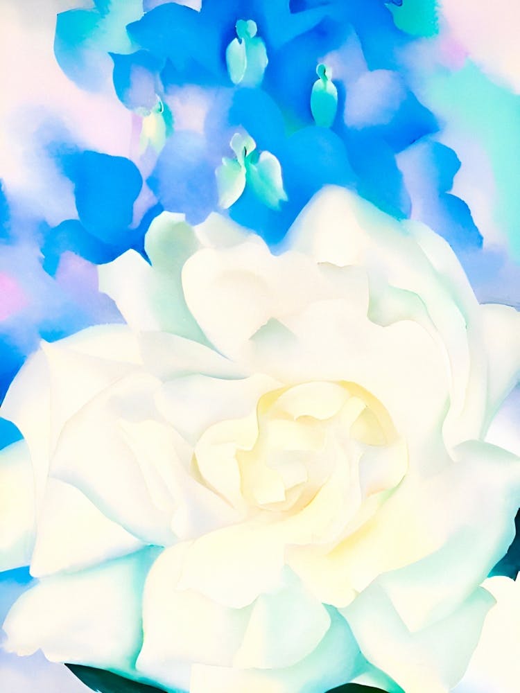 Georgia O'Keeffe - White Rose with Larkspur No. 2, 1927