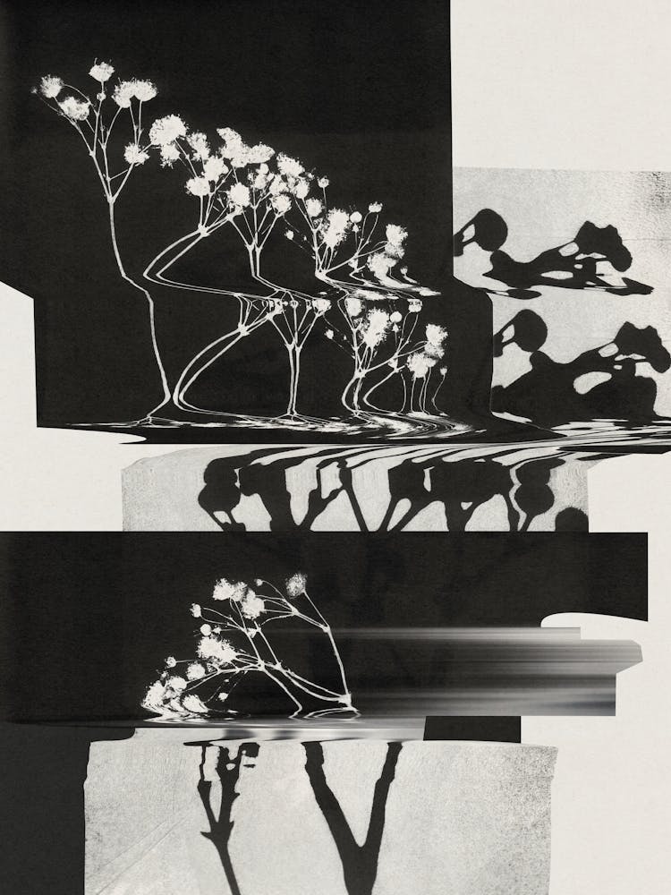 Nature Morte 1
