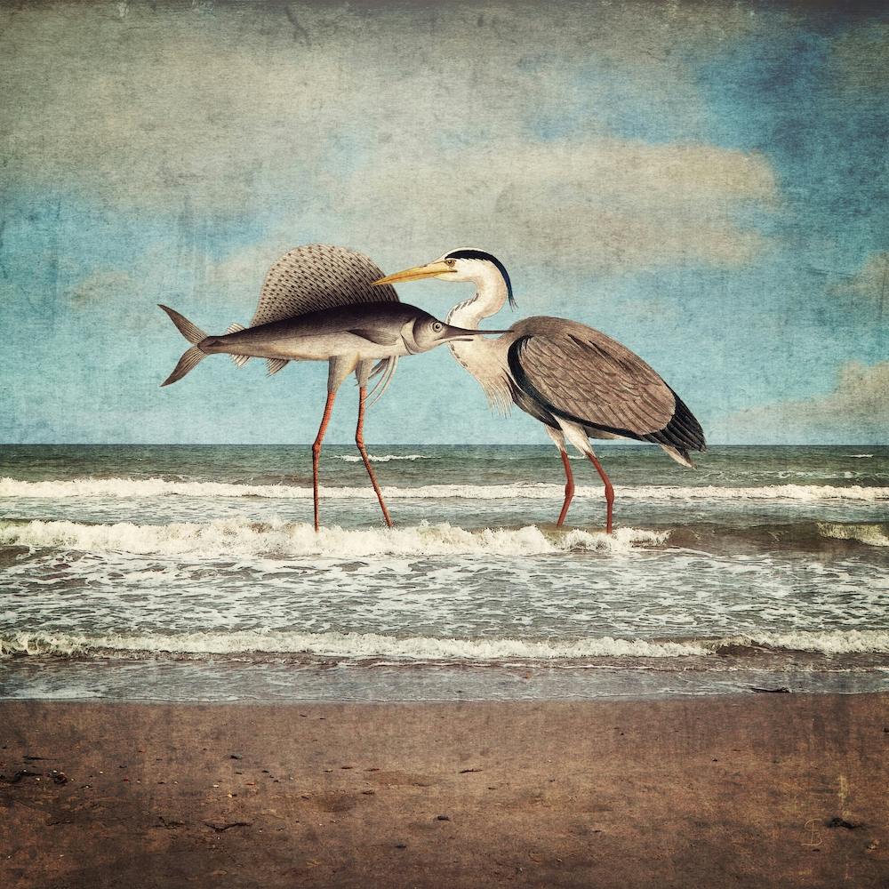 The Fish Who Sold His Soul for Love