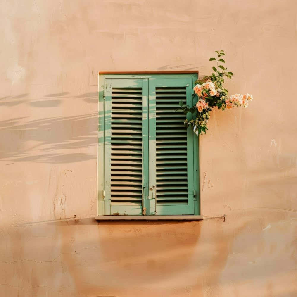 Shuttered Window