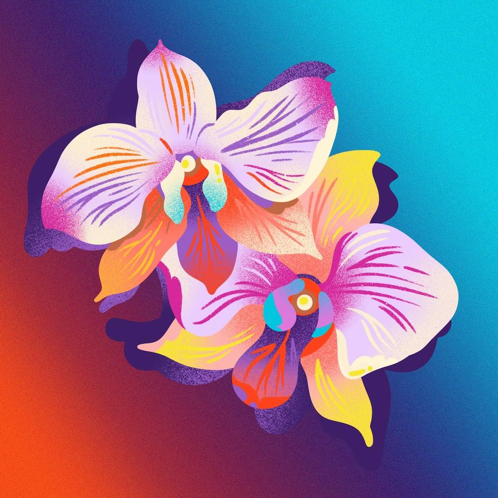 Orchid Floral Gradient