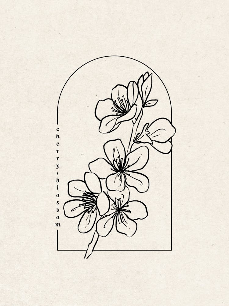 Cherry Blossom Flower