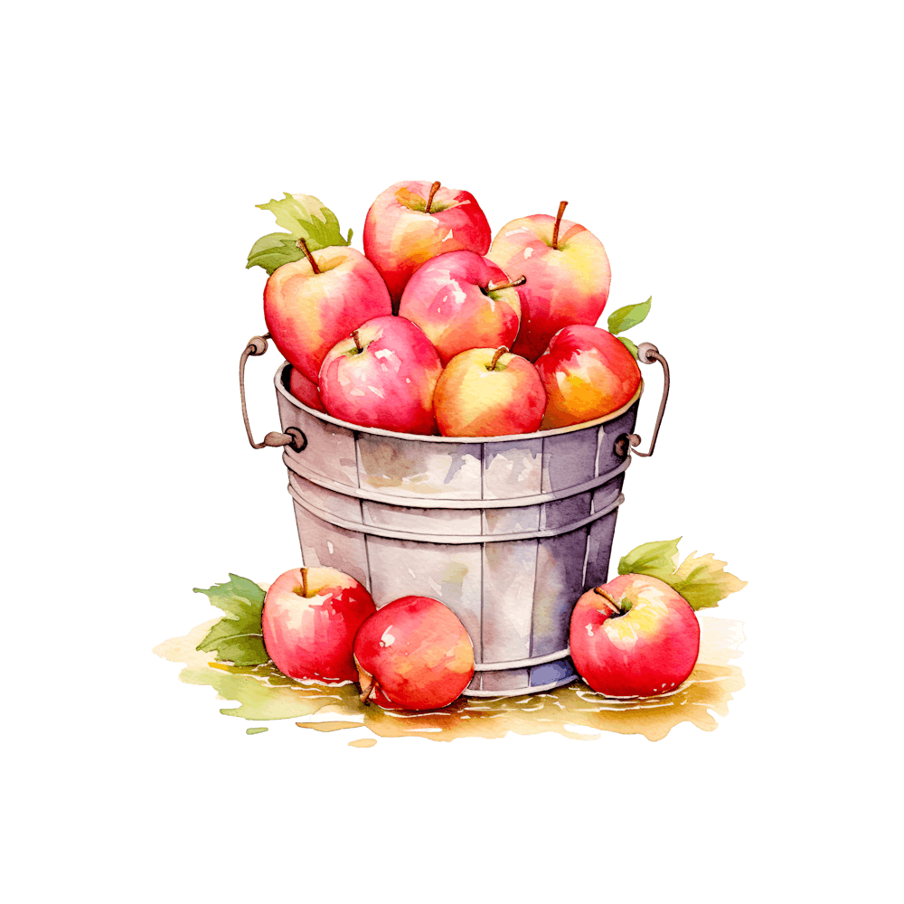 Apples In A Bucket 2