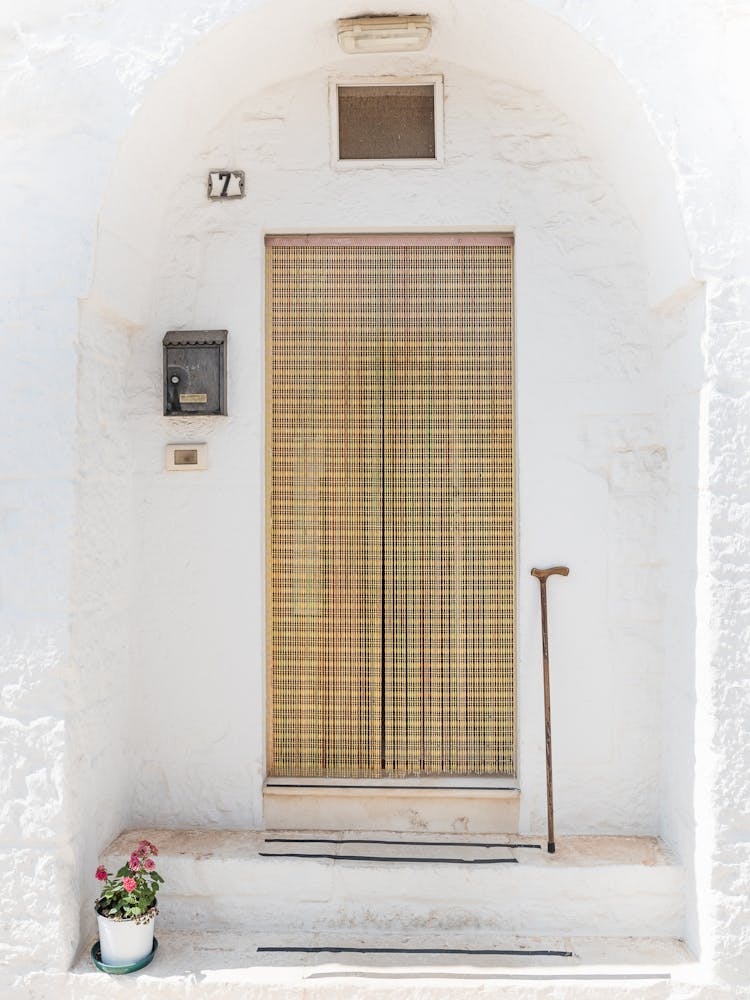 Door To A White House