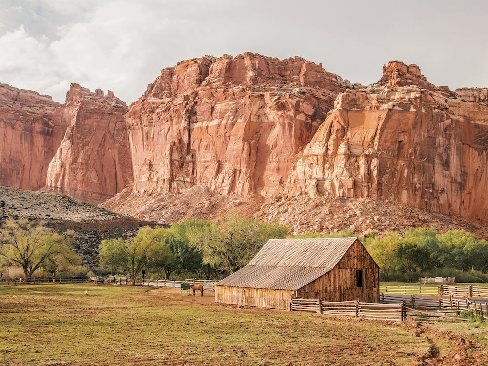 Red Rock Desert Homestead