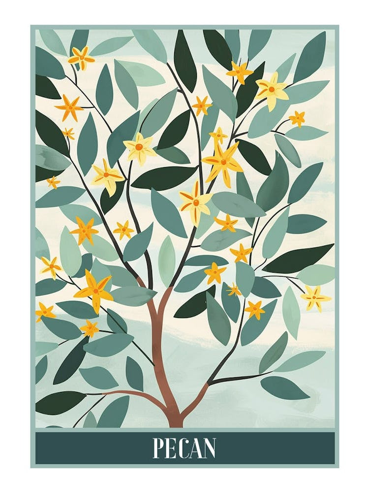 Pecan Tree Flat Illustration 3 Poster