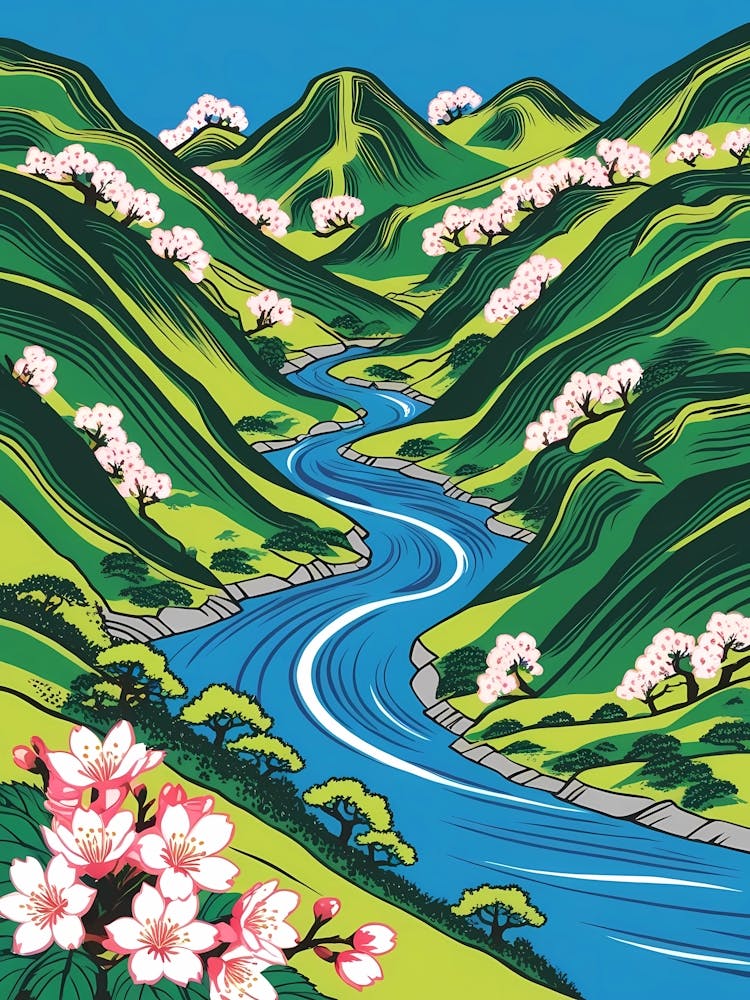 Cherry Blossoms 48