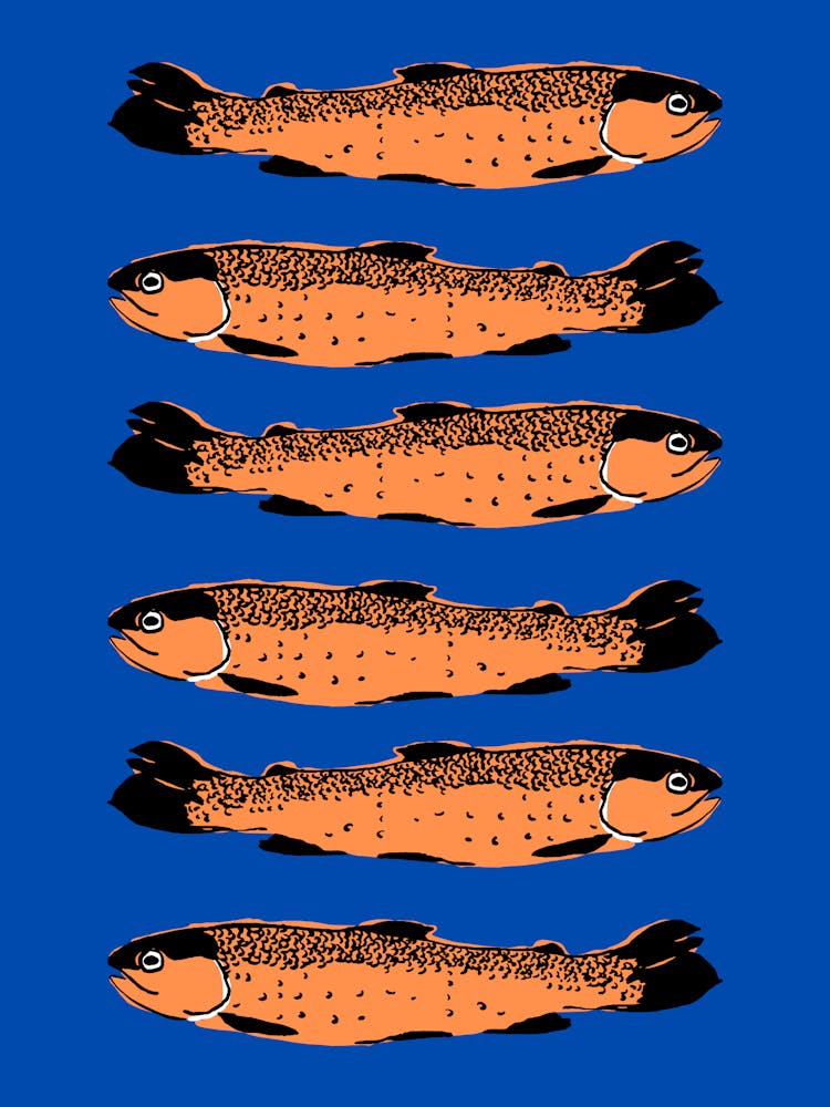 Oranges Sardines On A Blue Background