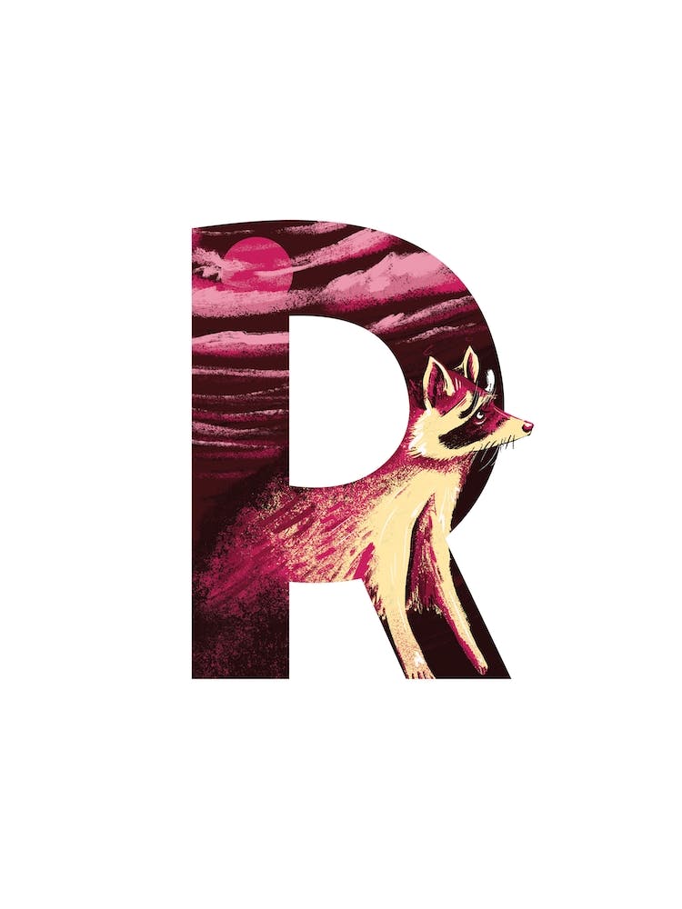 R Is For Raccoon