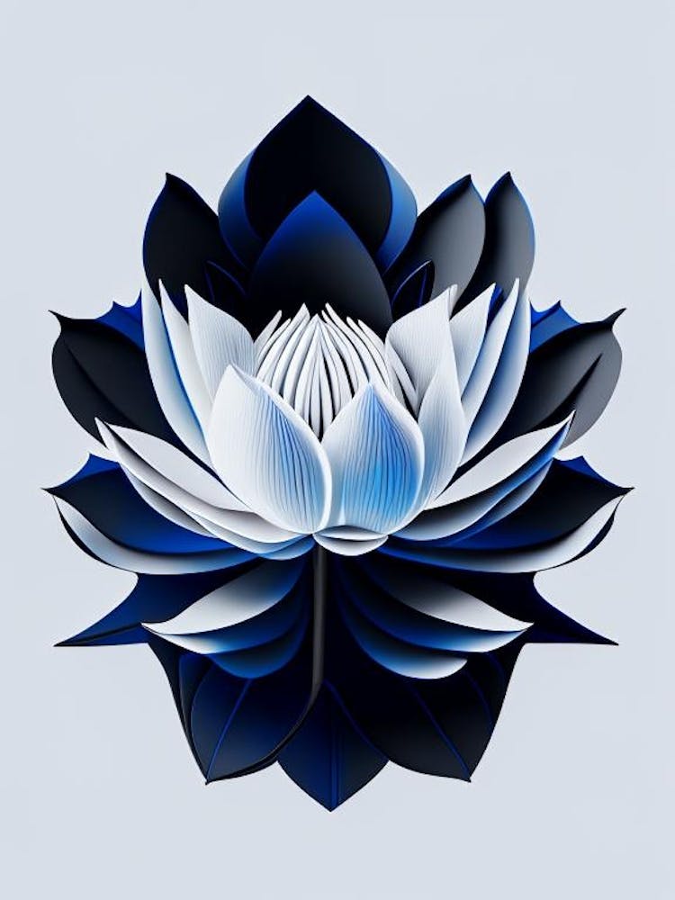 Blue Lotus Black And White Geometric 1