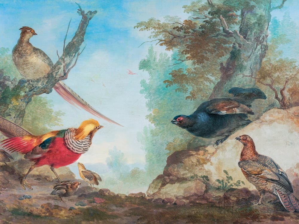 Vintage Bird_2835723