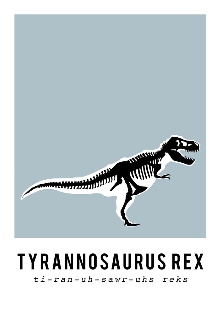 T Rex Dinosaur Skeleton Fossil