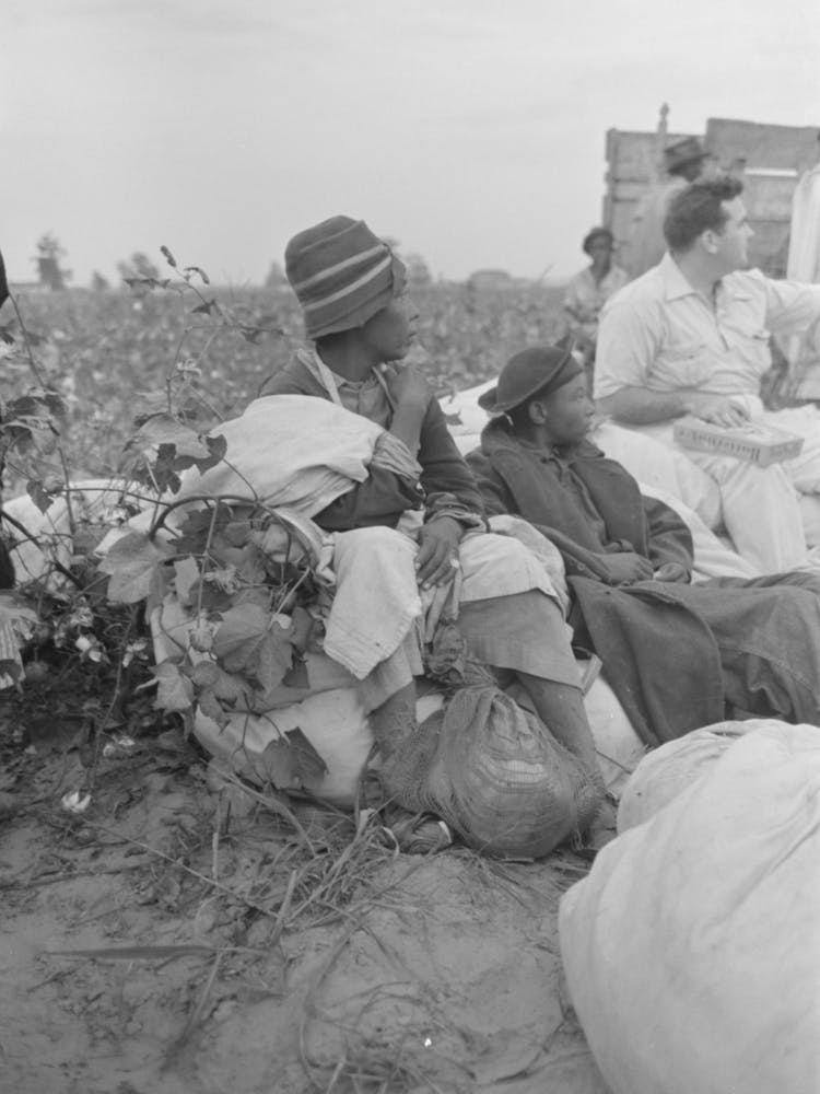 Untitled Photo, Possibly Related To Day Laborers, Cotton Pickers, In Field, Lake Dick Project, Arkansas By Russell Lee