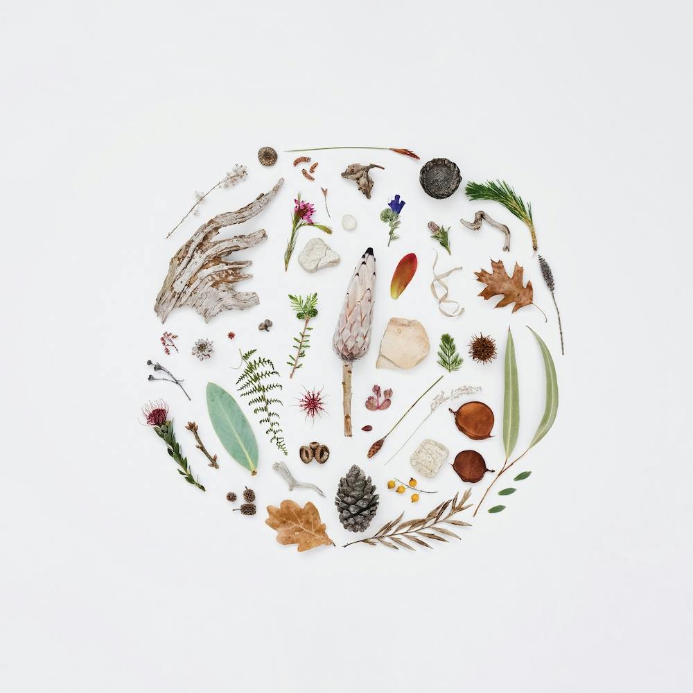 Treasures Of Nature Square