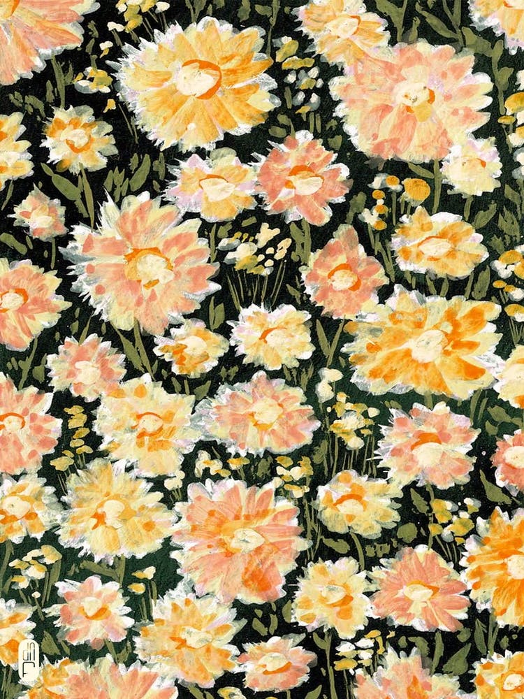 Daisies 1