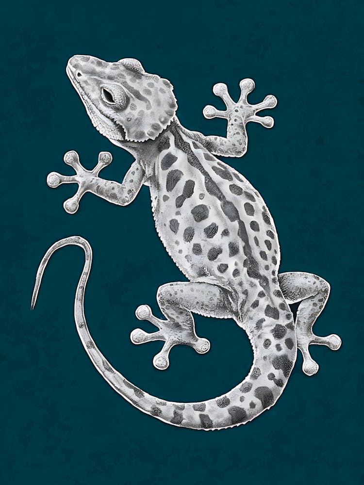 Gecko 3