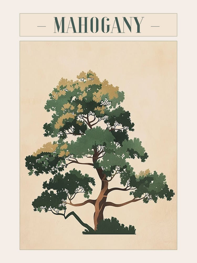 Mahogany Tree Minimal Japandi Illustration 4 Poster