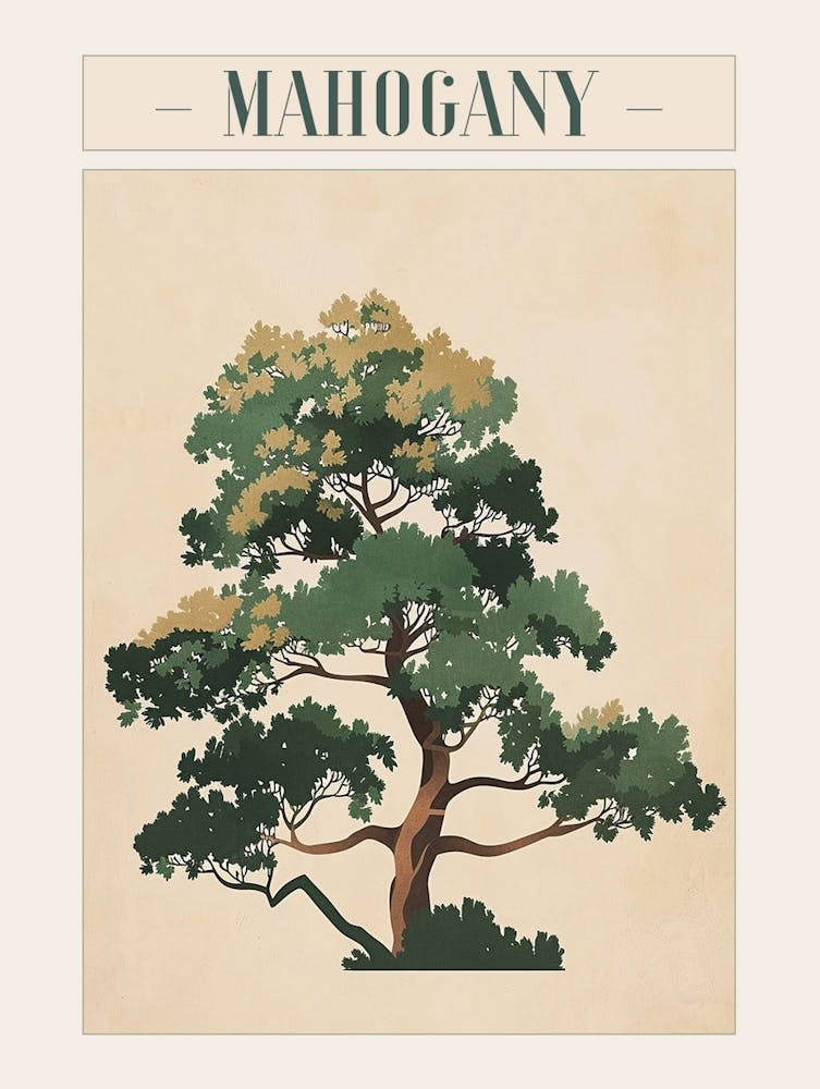 Mahogany Tree Minimal Japandi Illustration 4 Poster