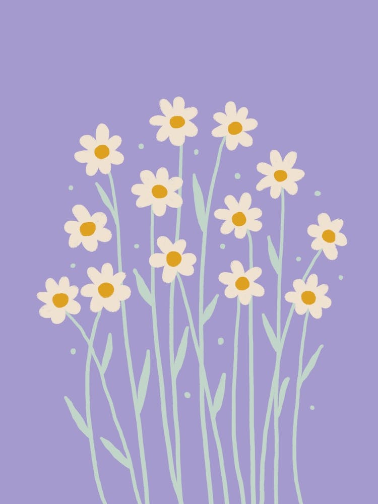 Simple Daisies Purple