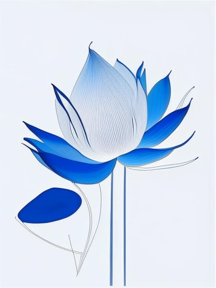 Blue Lotus Abstract Line Drawing 3