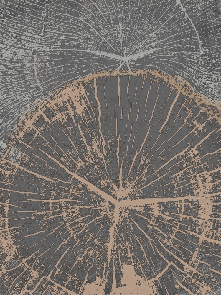 Black Tree Ring Stump